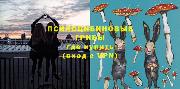 МДПВ Алексеевка
