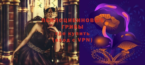 ПСИЛОЦИБИНОВЫЕ ГРИБЫ Абдулино