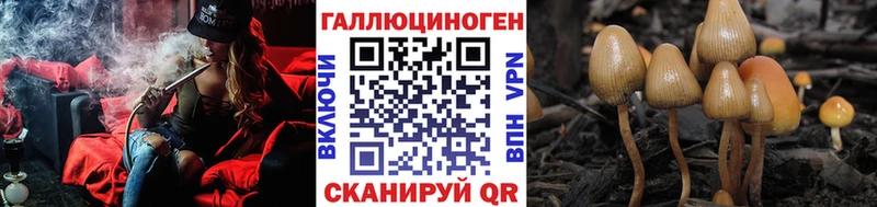 kraken tor Черкесск Галлюциногенные грибы ЛСД